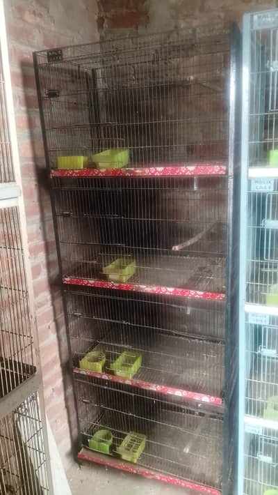 Cages