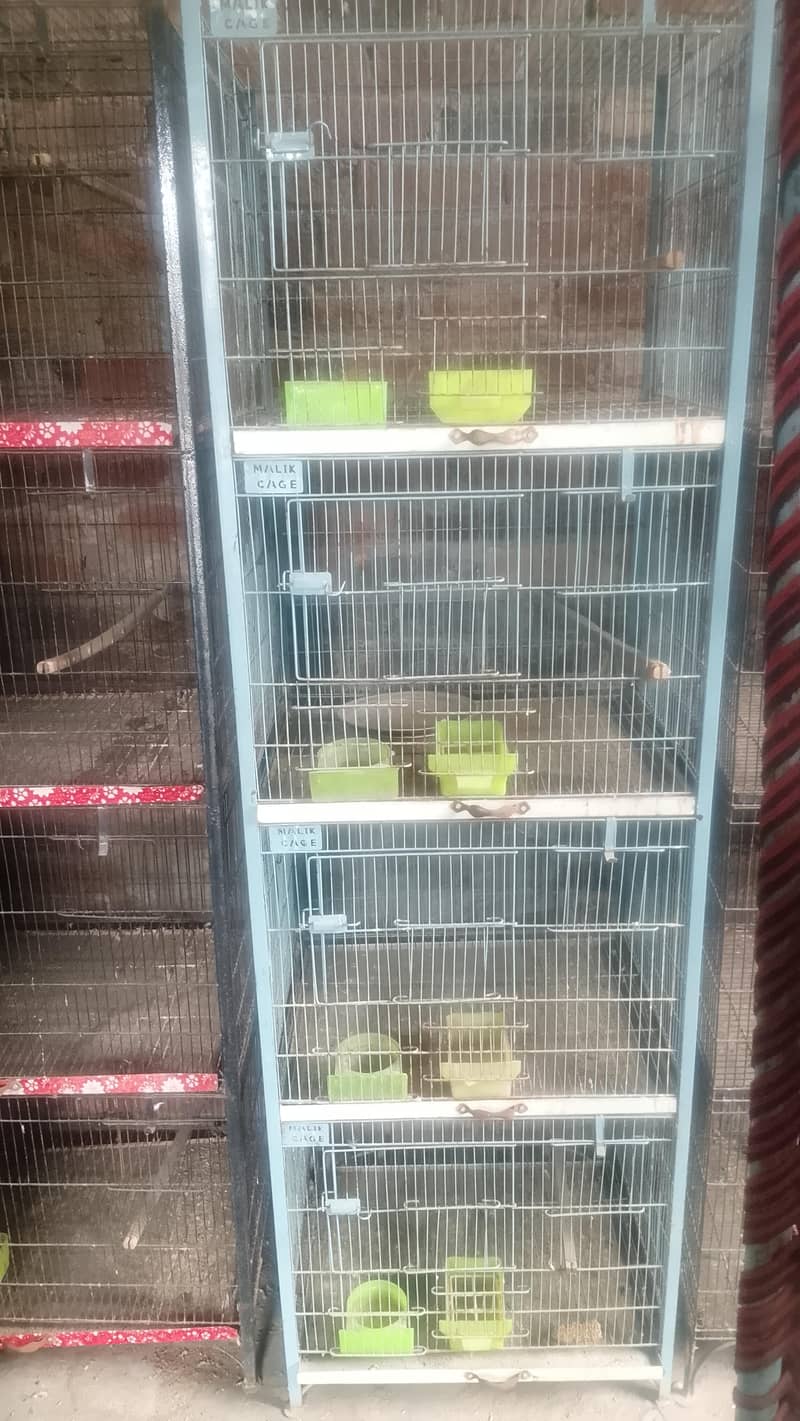 Cages 1