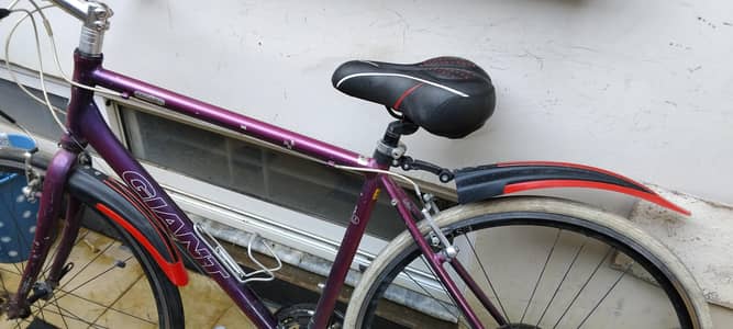 giant escape r3