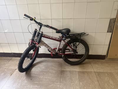 Phoenix Bicycle – Almost New – Used Only Few Times