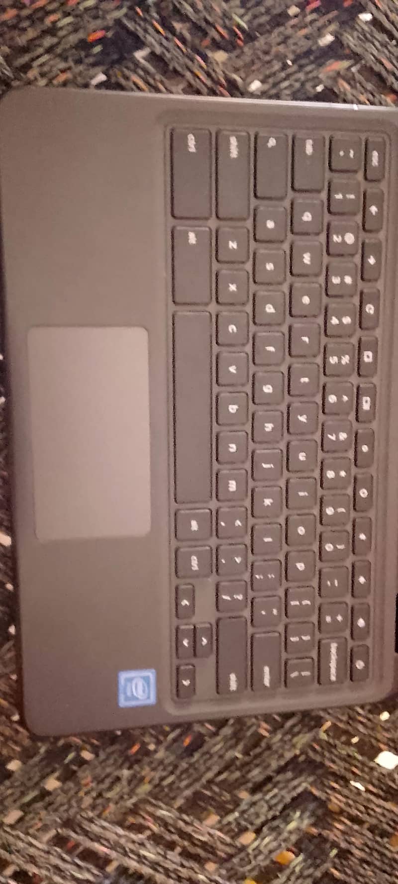 Dell 3100 2
