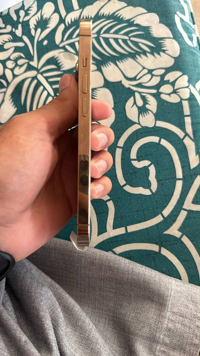 Apple iPhone 13 Pro 3