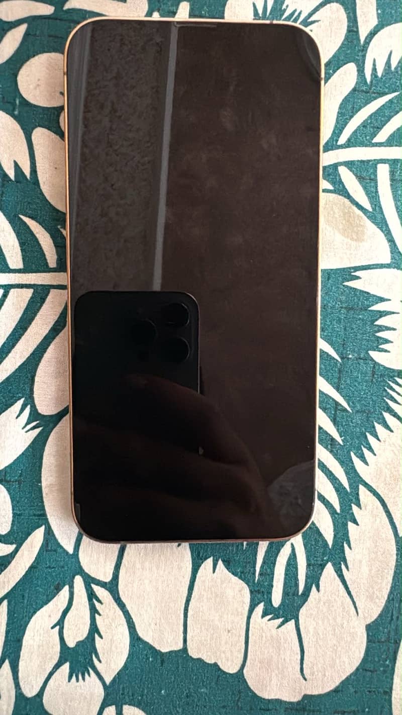 Apple iPhone 13 Pro 4