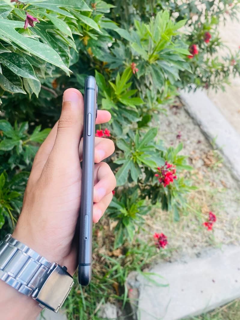 Apple iPhone 11 2