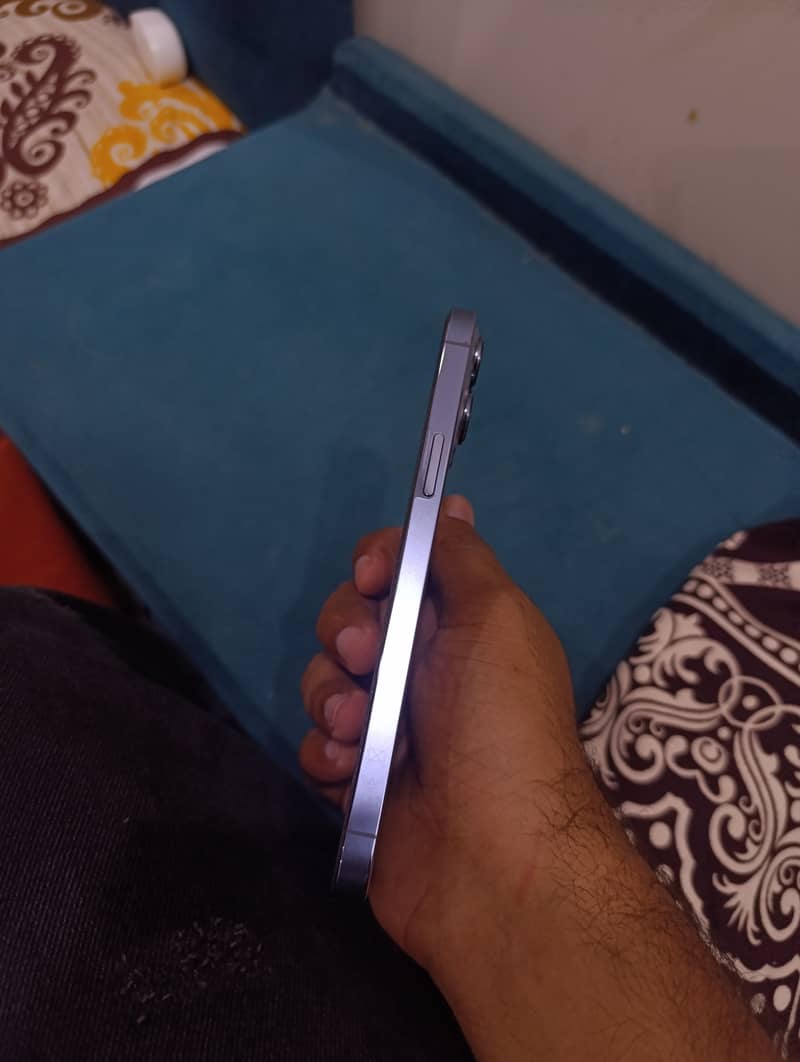 Apple iPhone 13 Pro Max 1