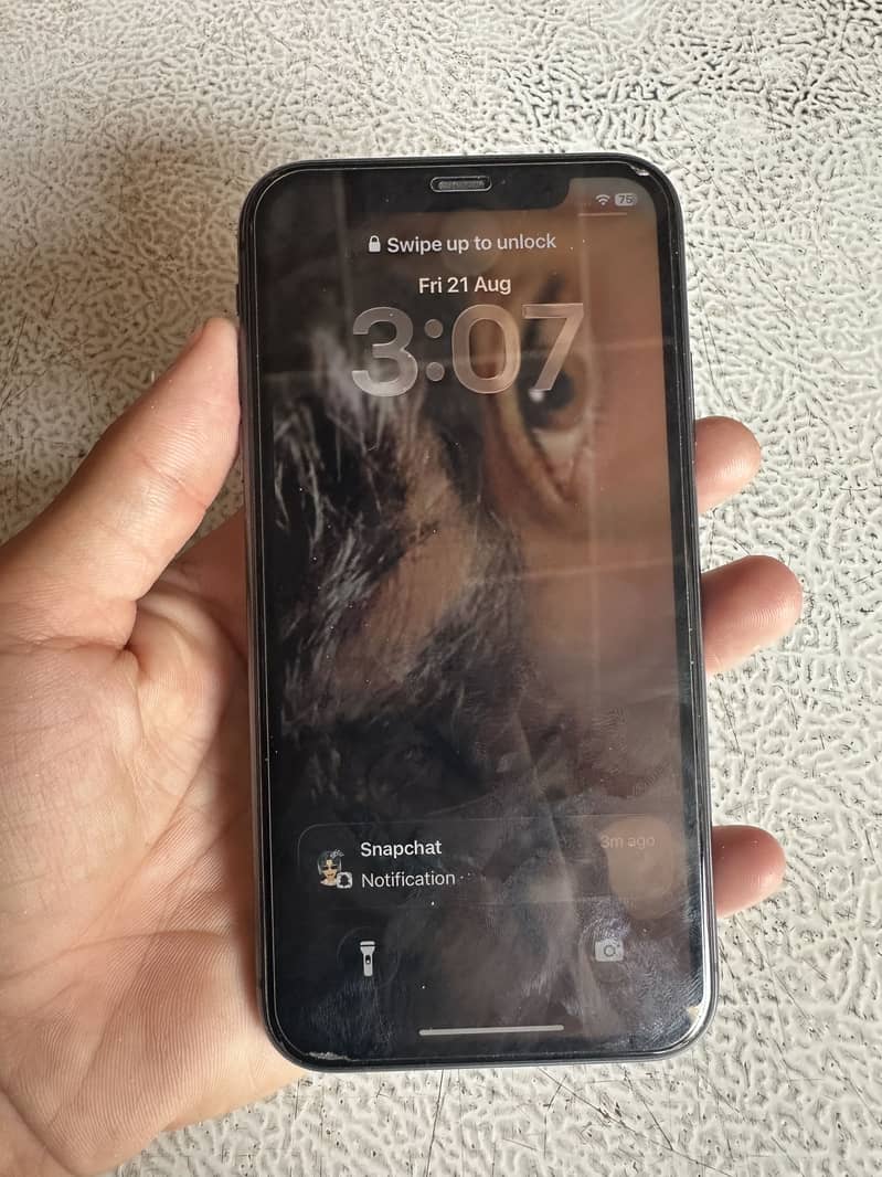 Apple iPhone 11 1
