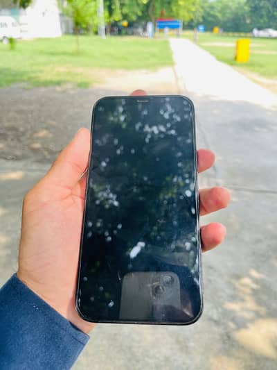 Apple iPhone 12 Pro Max