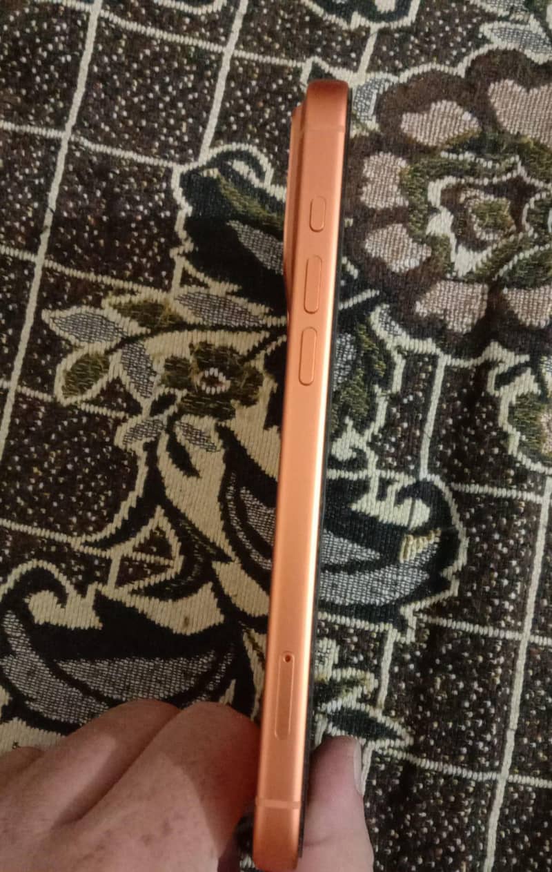 Apple iPhone 17 Pro Max 3