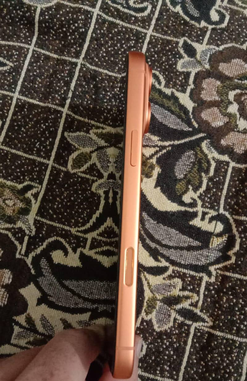 Apple iPhone 17 Pro Max 4