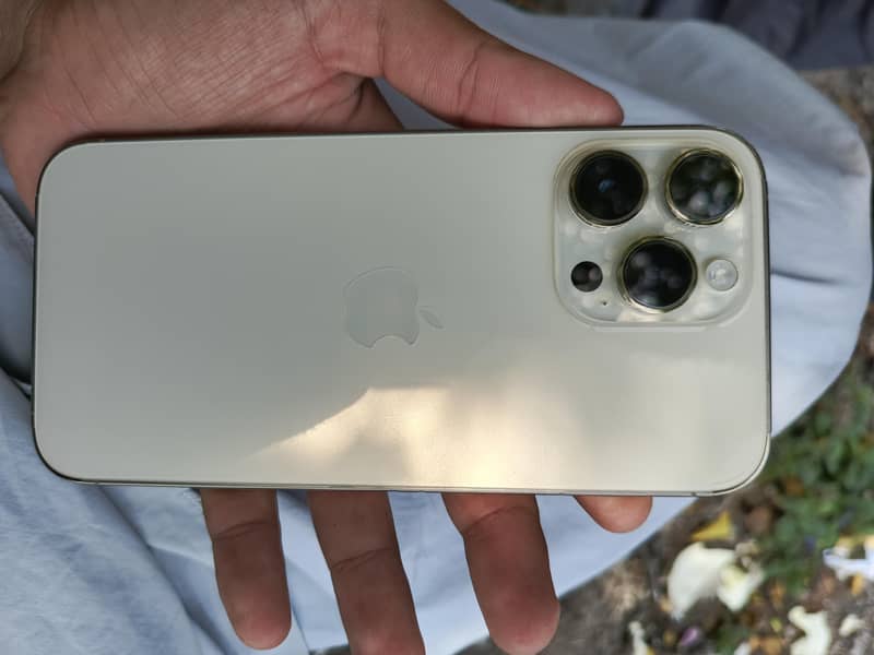 Apple iPhone 14 Pro Max 1