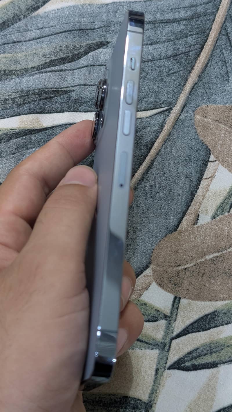 Apple iPhone 13 Pro Max 1