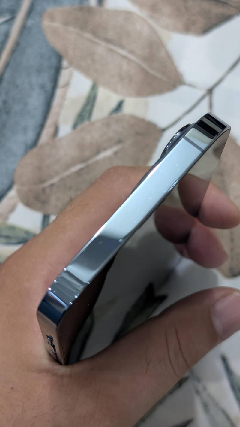 Apple iPhone 13 Pro Max 4