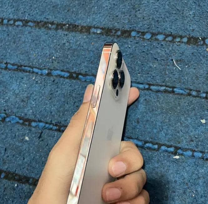 iPhone 13 Pro mdm 1