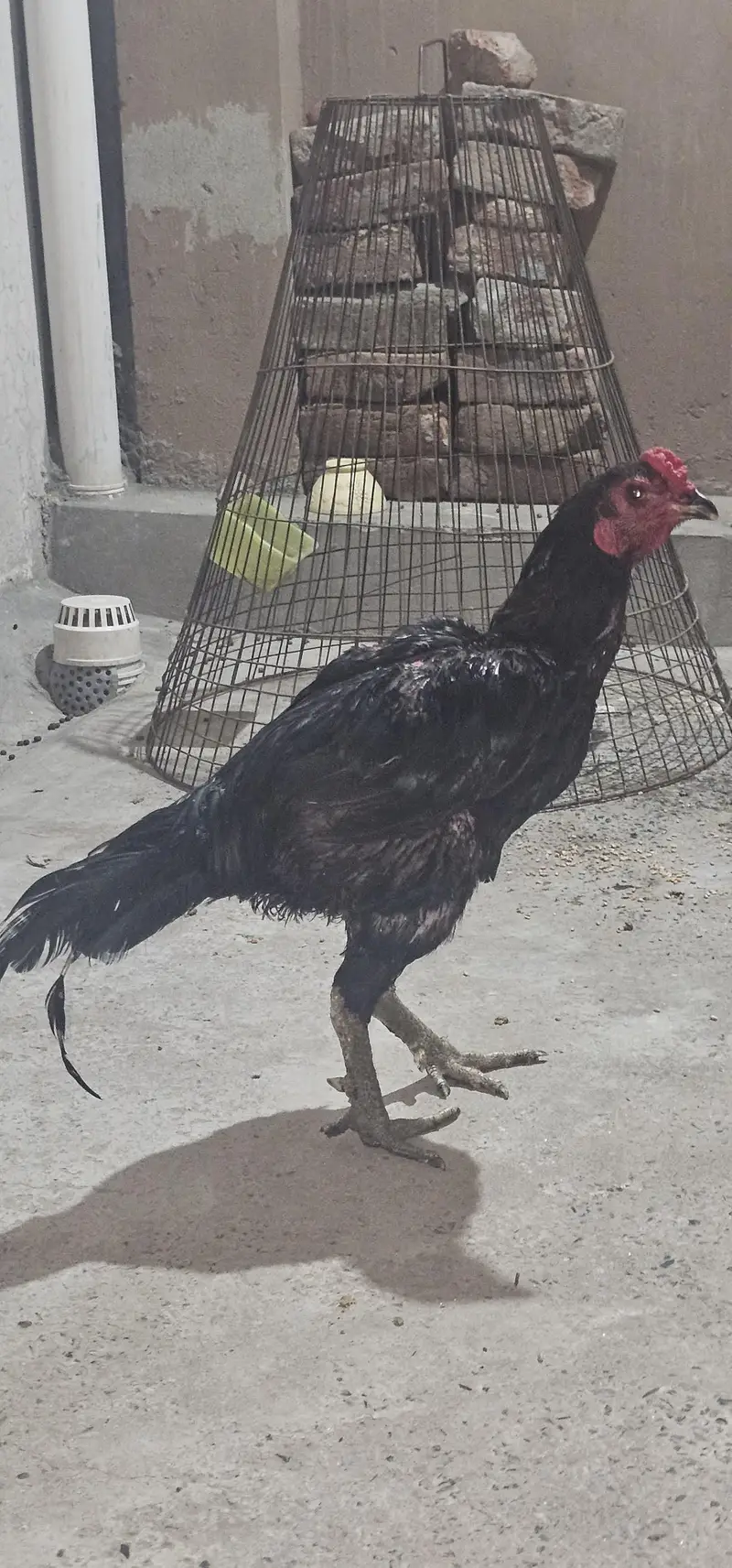forsale location Lahore — photo 11