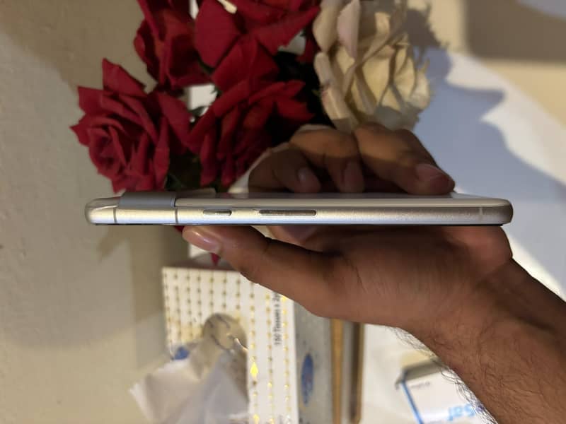 Google Pixel 7 1