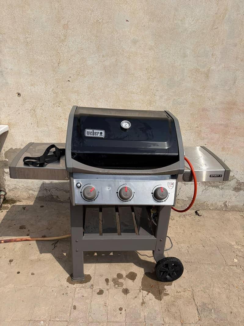 weber 1