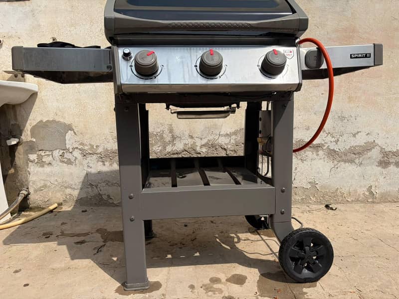 weber 5