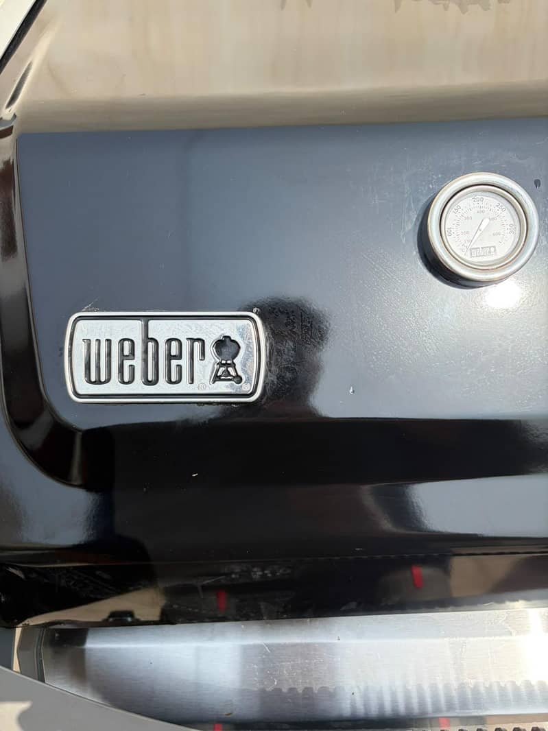 weber 6