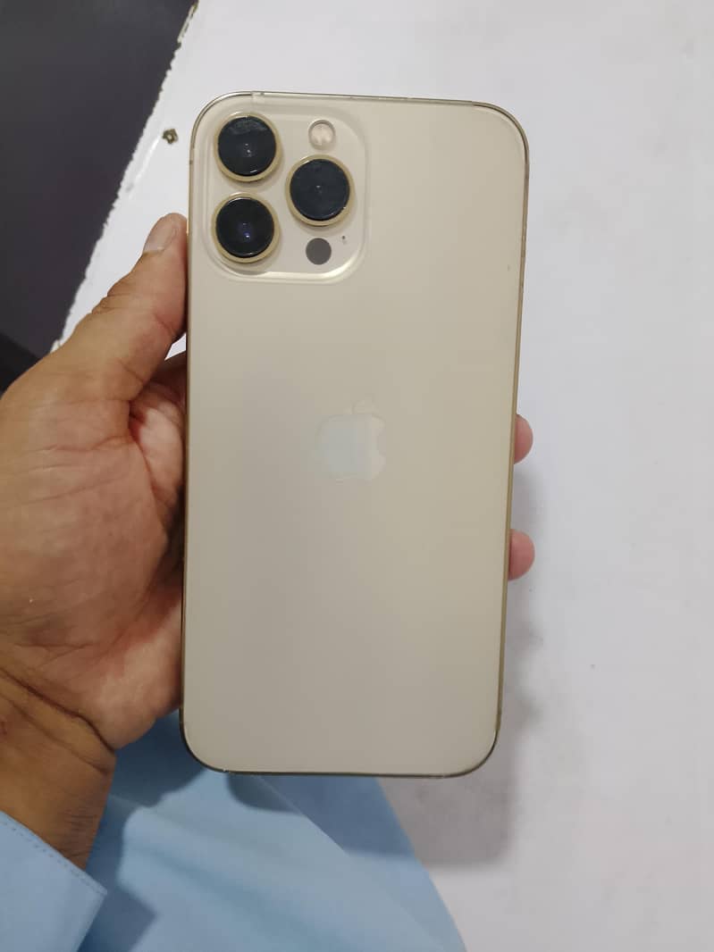 Apple iPhone 13 Pro Max 0