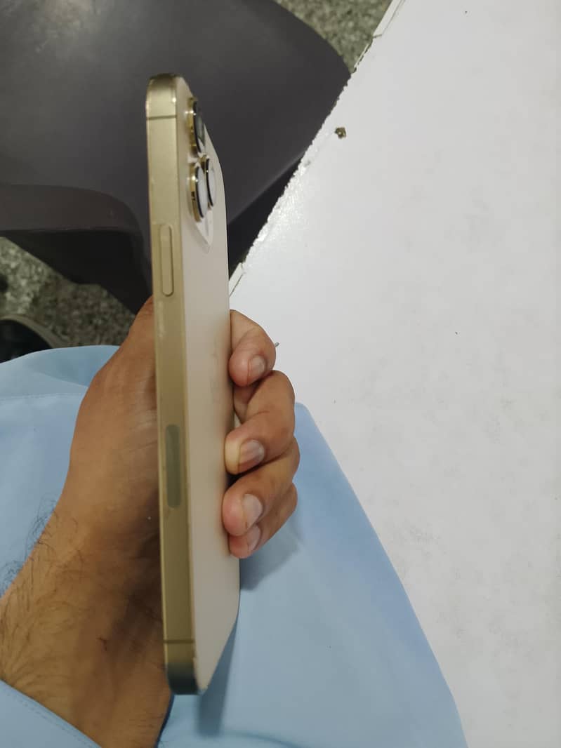 Apple iPhone 13 Pro Max 2