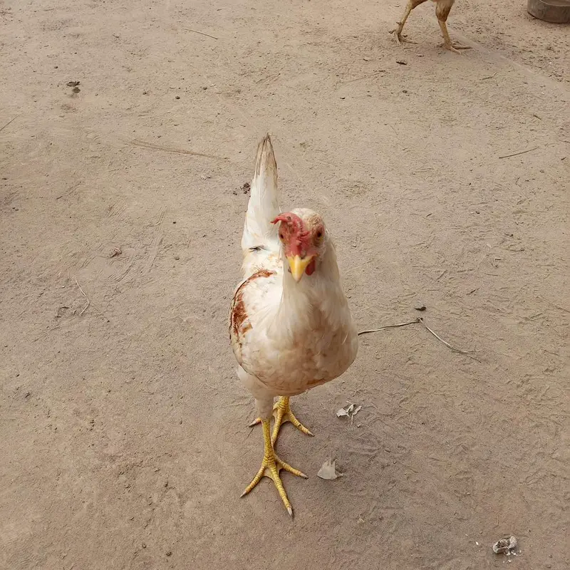صرف میل — photo 4