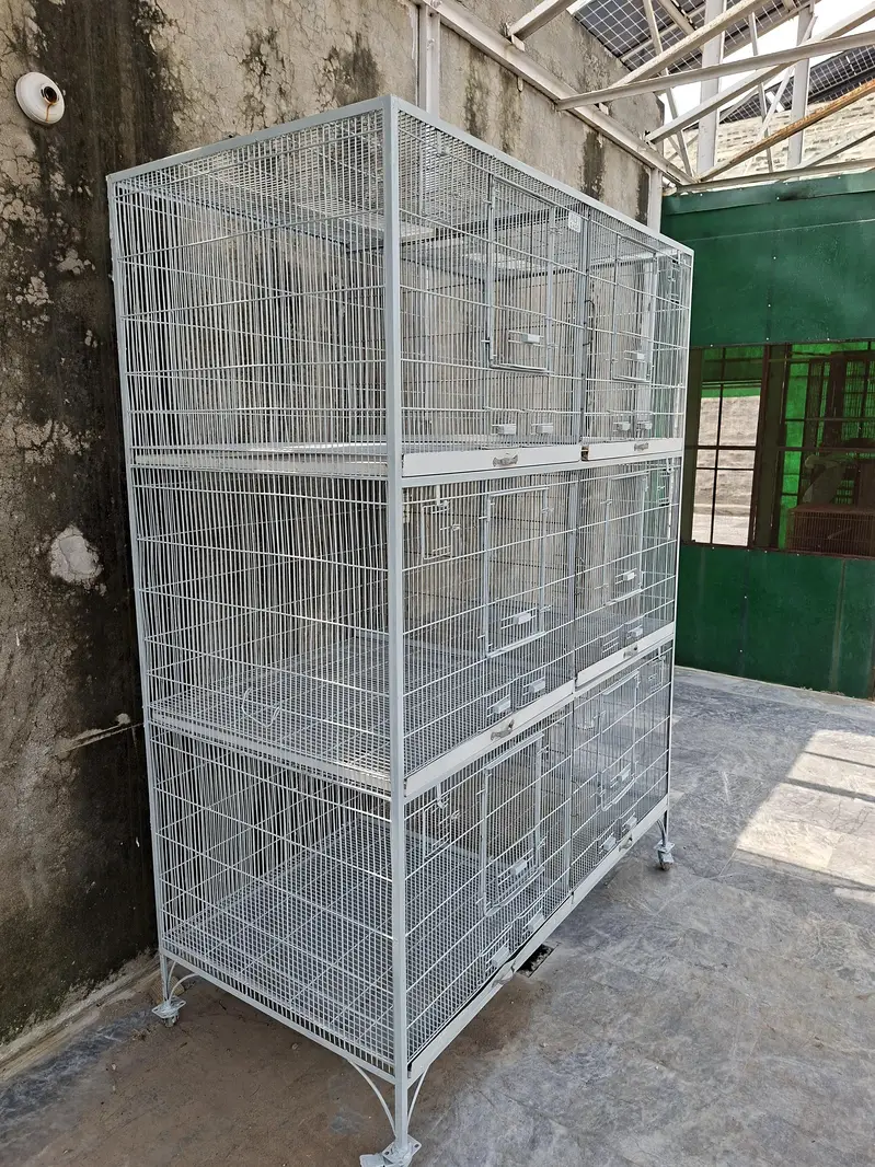 Bird Cage for Sale — Ali Birds Cage [Bbrand]