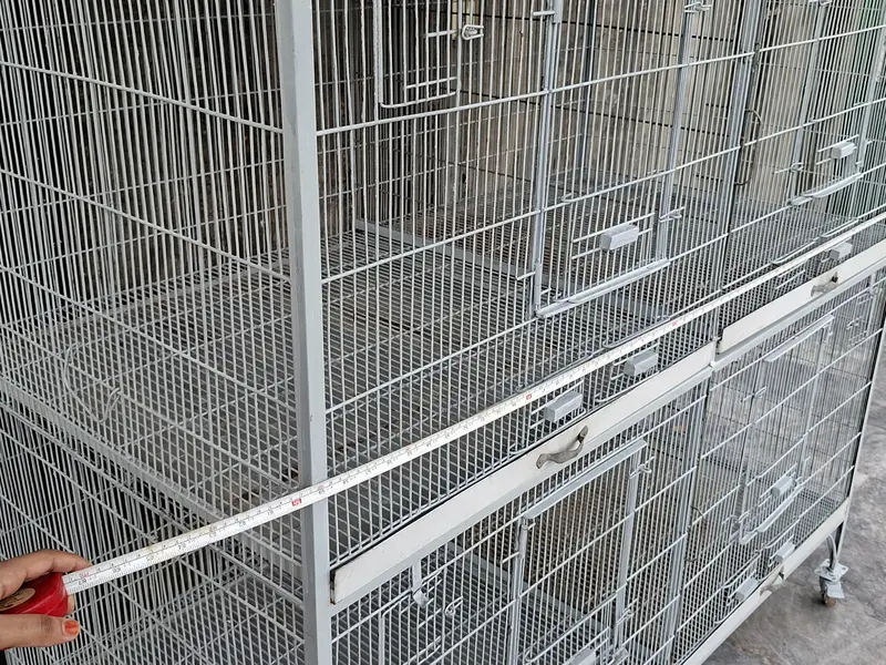 Bird Cage for Sale — Ali Birds Cage [Bbrand] — photo 7