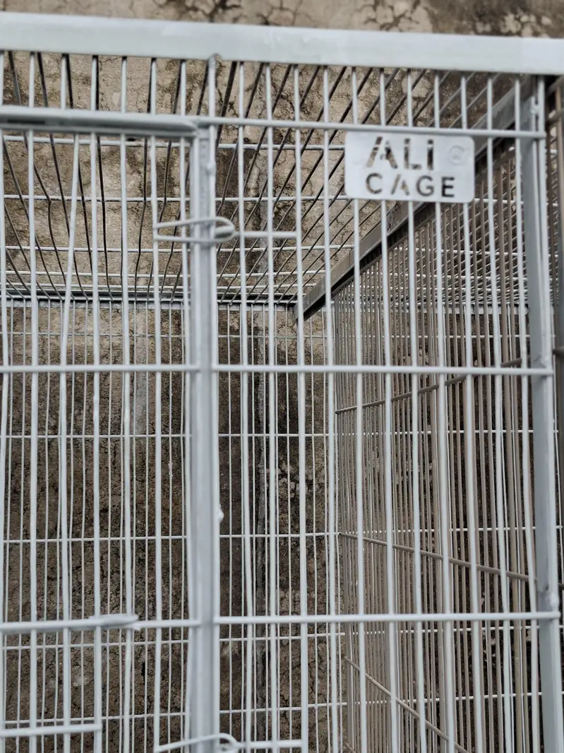Bird Cage for Sale — Ali Birds Cage [Bbrand] — photo 10