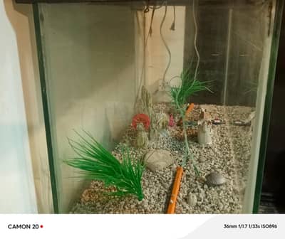 Aquarium Fish Tank For Sale - Excellent Condition