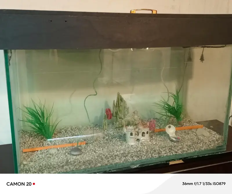 Aquarium Fish Tank For Sale - Excellent Condition — photo 2