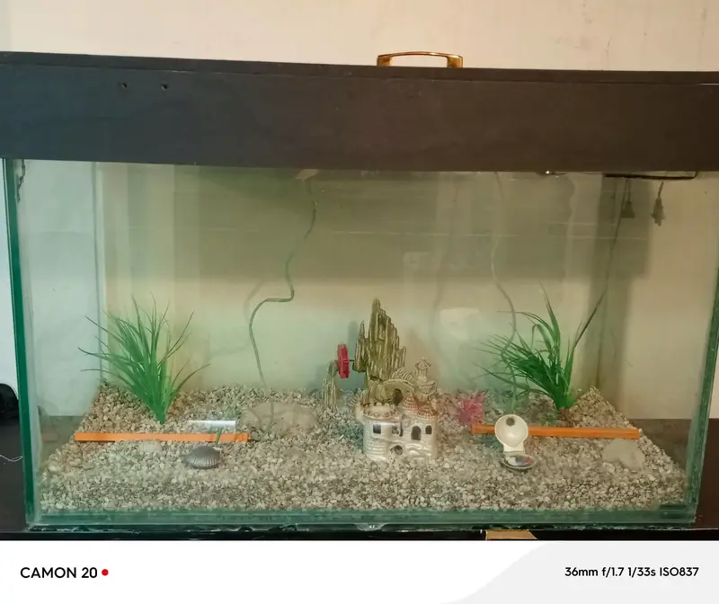 Aquarium Fish Tank For Sale - Excellent Condition — photo 3