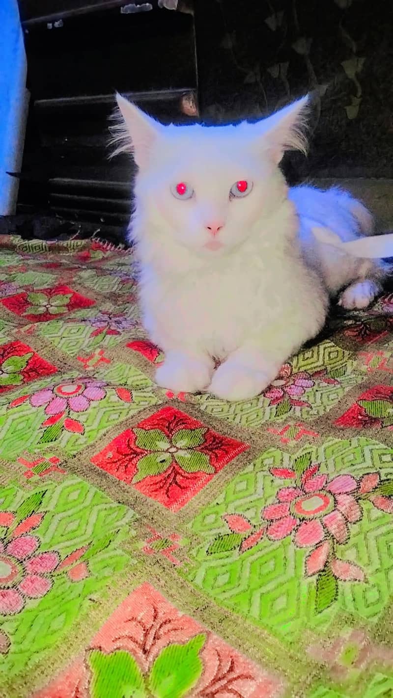 undefined 0