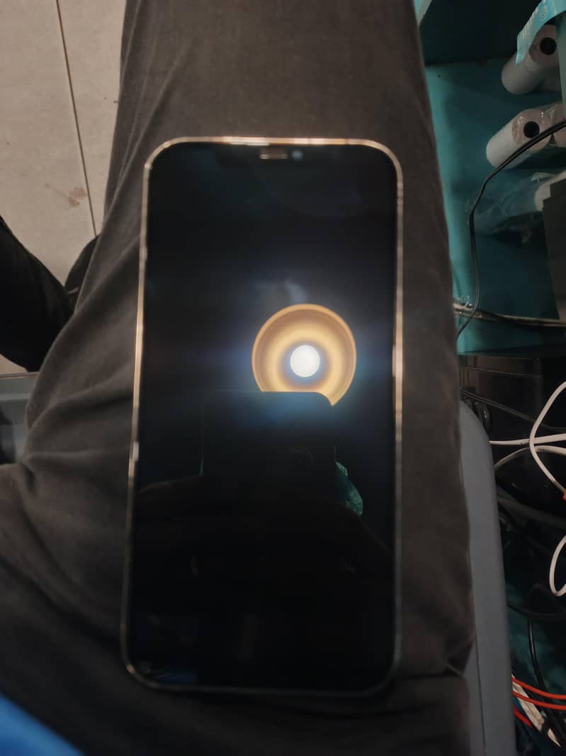 Apple iPhone 12 Pro Max 1