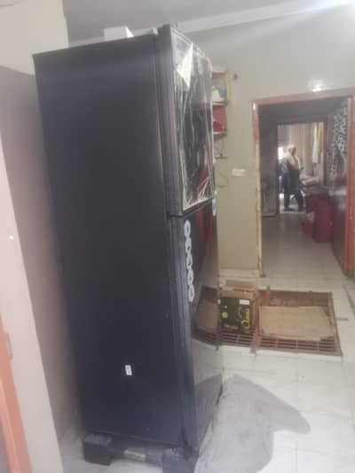 Jumbo size fridge