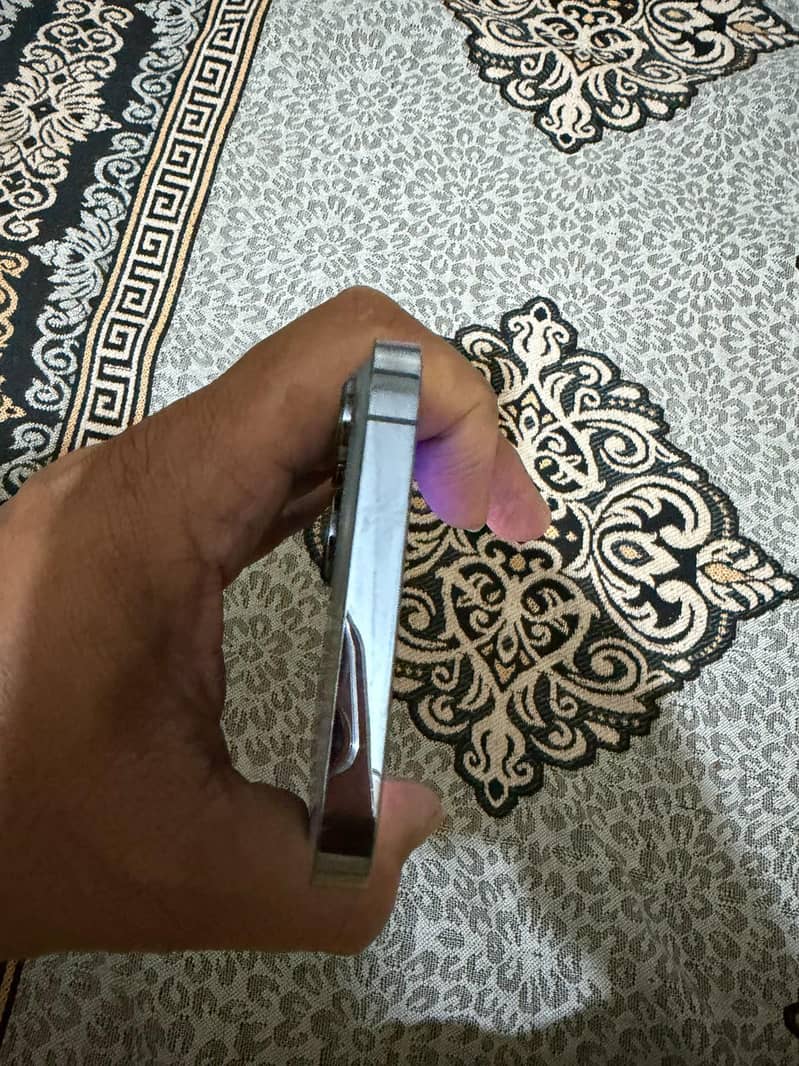 Apple iPhone 13 Pro Max 1