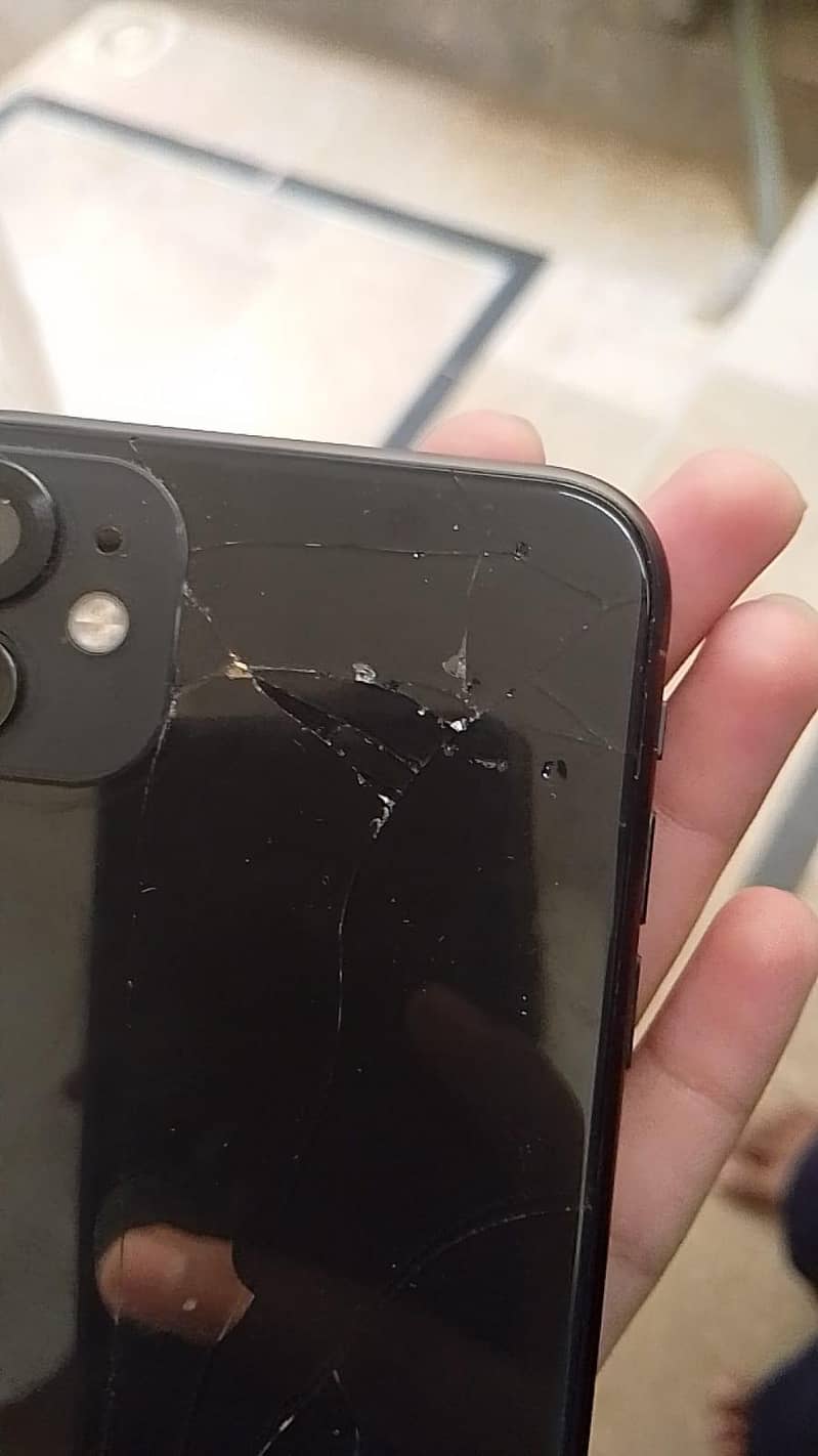 Apple iPhone 11 0