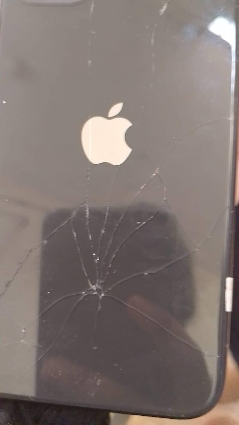 Apple iPhone 11 1