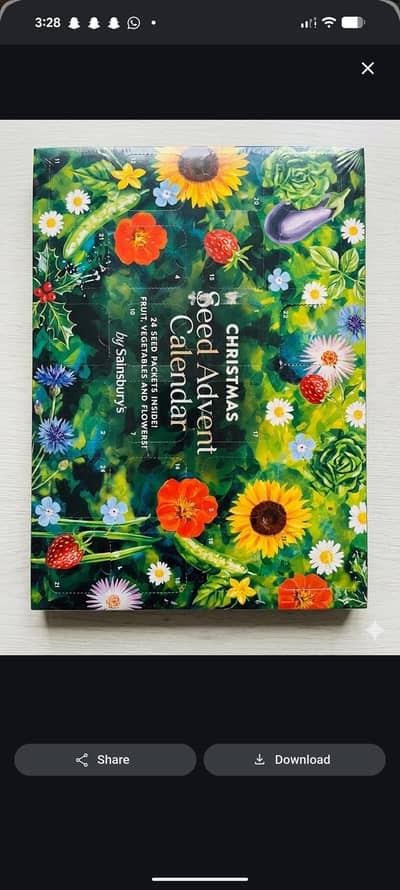Seeds activity for kids