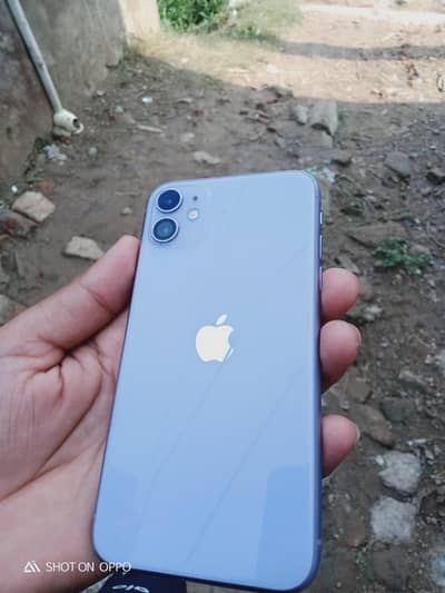 Apple iPhone 11