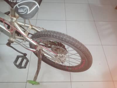 Bike with training wheels (converted to a bike with training wheels)