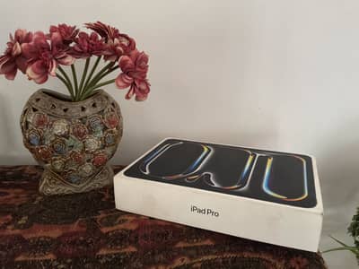 Ipad Pro M5 256gb ( Black )