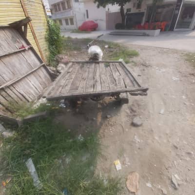 loader pata 03248724371