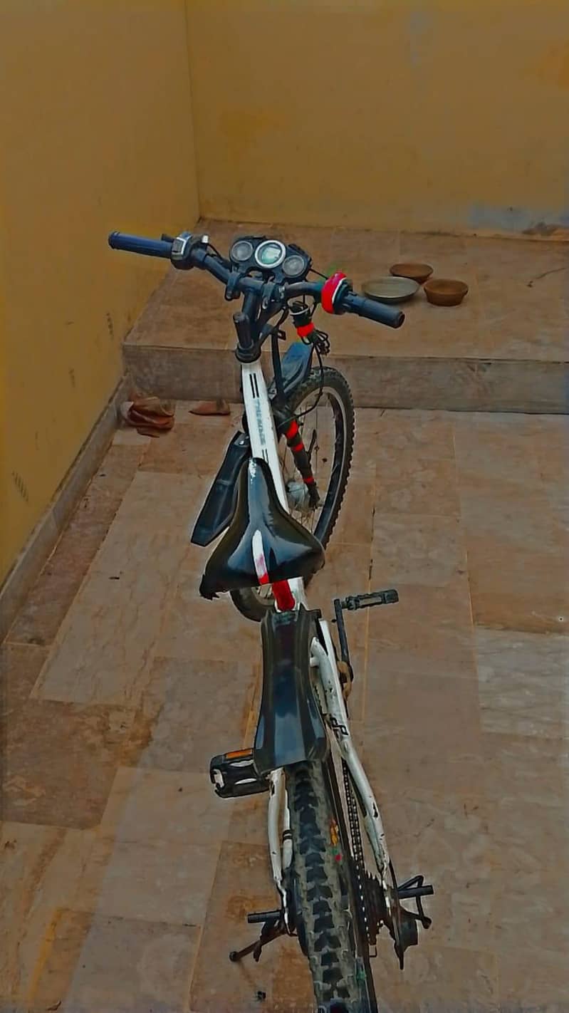 American eagle cycle 1