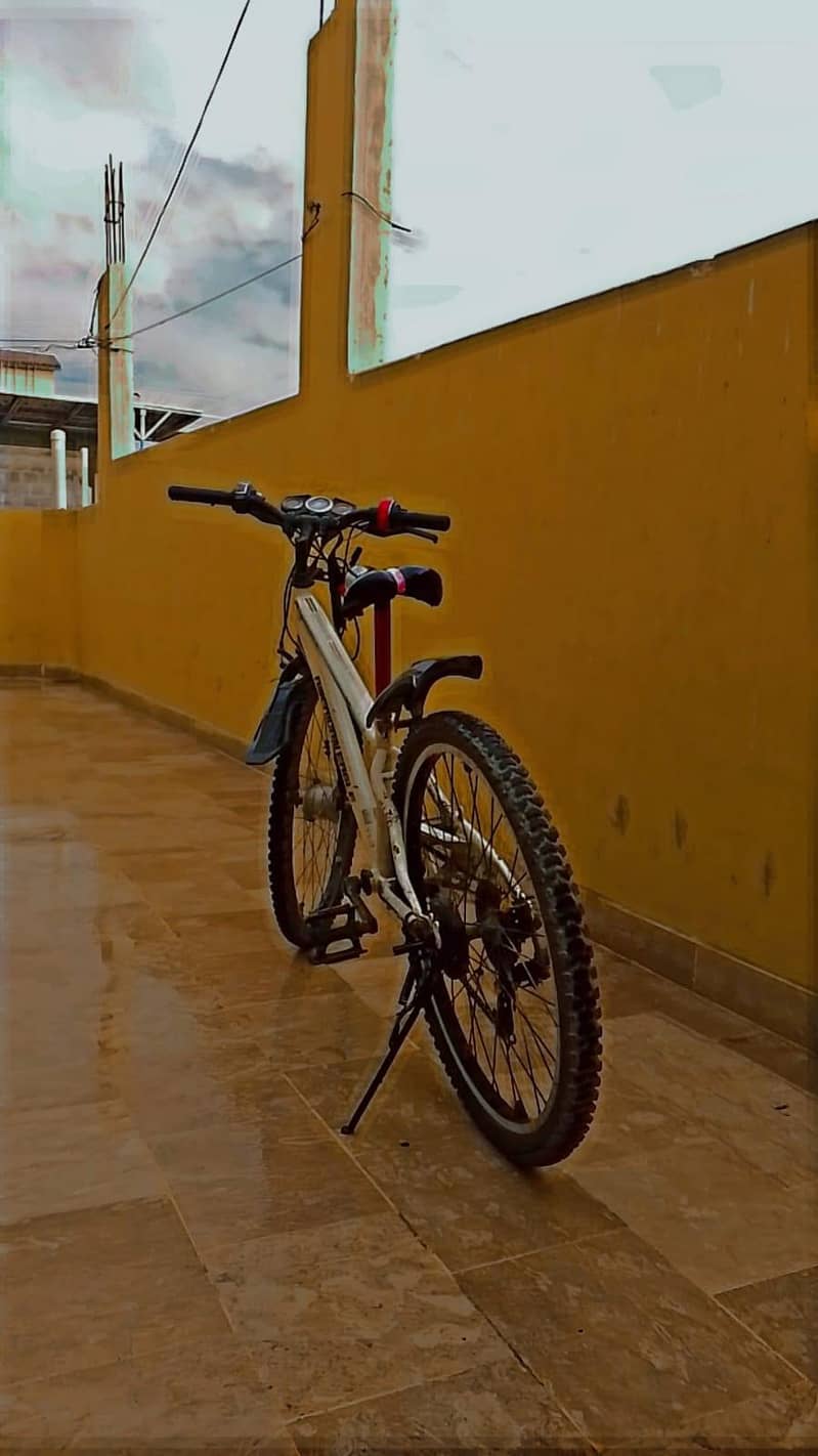 American eagle cycle 7