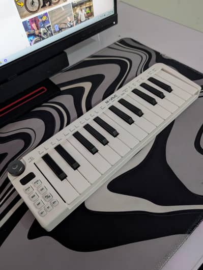 M-vave SMK 25 mini MIDI controller ( rarely used )