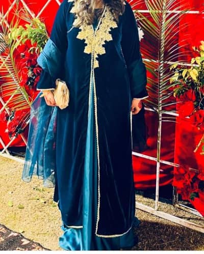 velvet gown with silk inner