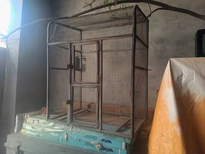 cage for hen/parrot/pigeon