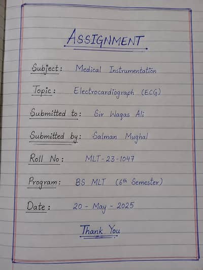 Handwritten and Pdf Assignment Making Service