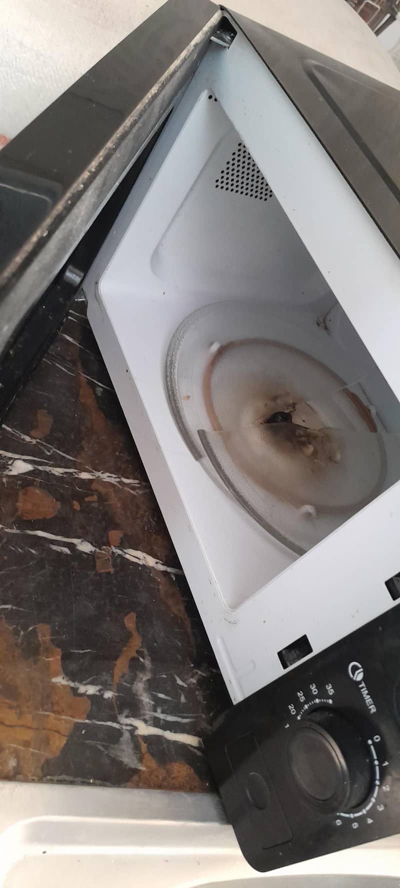 Microwave 2