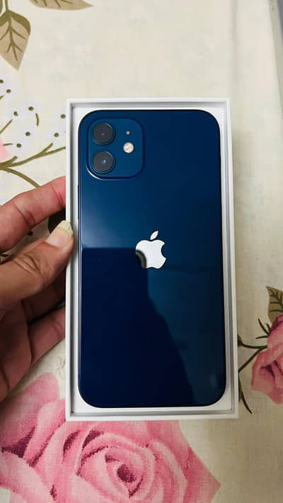 iphone 13 and iphone 12